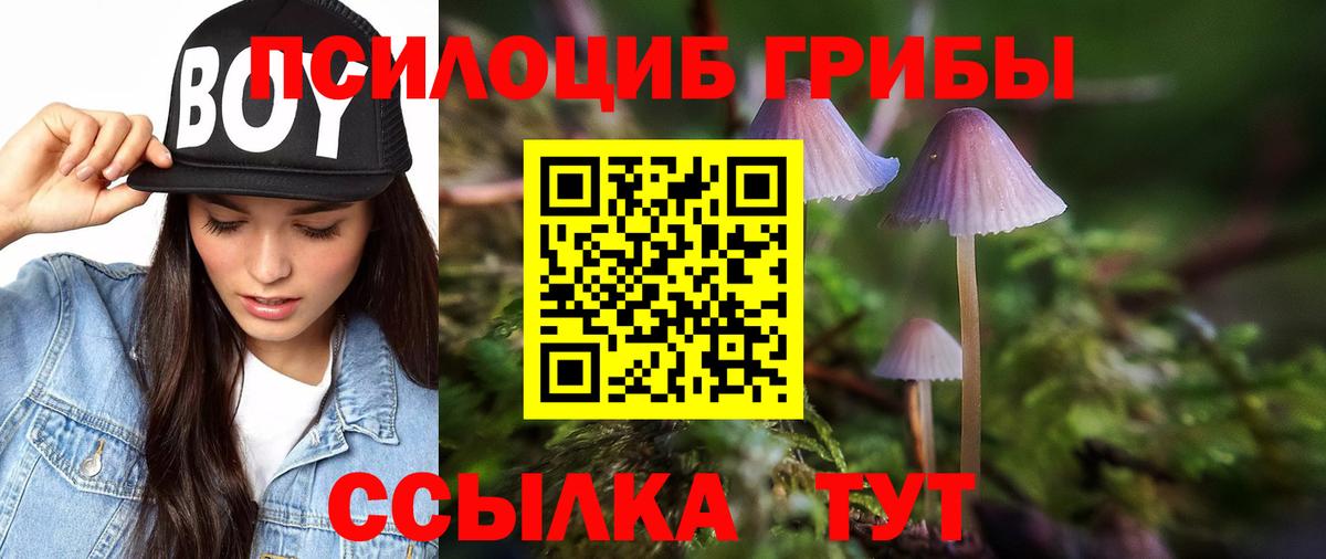 Псилоцибиновые грибы Psilocybine cubensis Семёнов