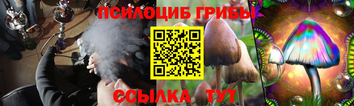 Псилоцибиновые грибы Magic Shrooms  как найти   Семёнов  Вход с VPN  Псилоцибиновые грибы Magic Shrooms 